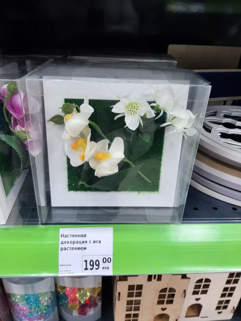 орхидея в рамке