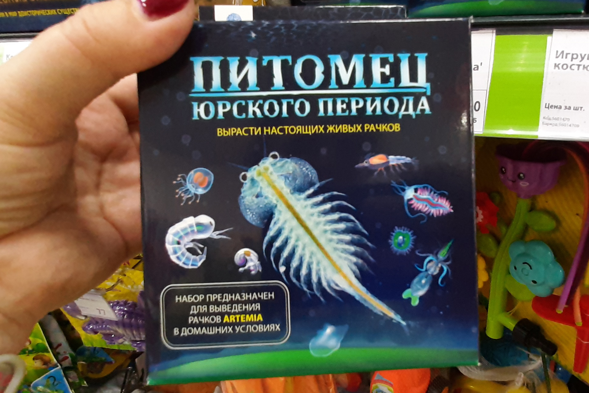 Набор для выращивания рачков фикс прайс. Питомец Юрского периода рачки артемии. Набор для выведения Рачков Артемия. Набор предназначен для выведения Рачков Artemia. Питомец Юрского периода фикс прайс рачки.